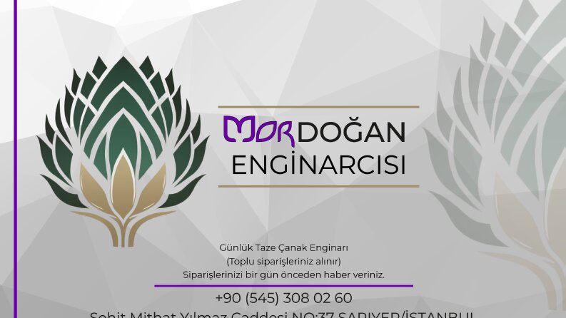 Marka Logo Tasarımı