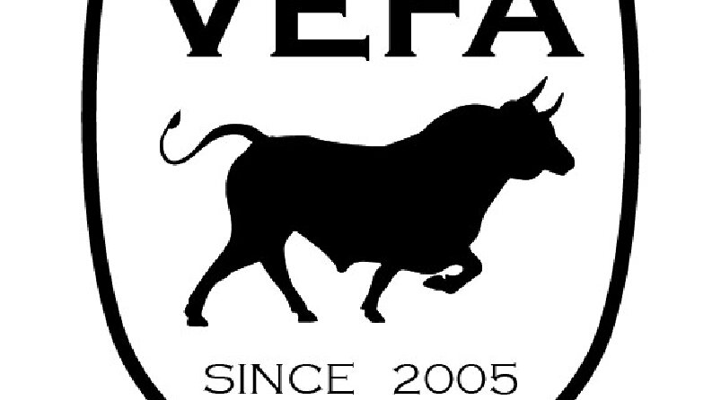 Vefa kebap logo tasarımı 