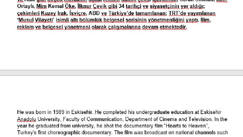 Türkçe'den İngilizce'ye çeviri