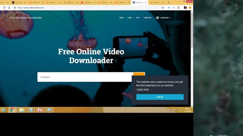 Codecanyon Hazır Script Kurulumu