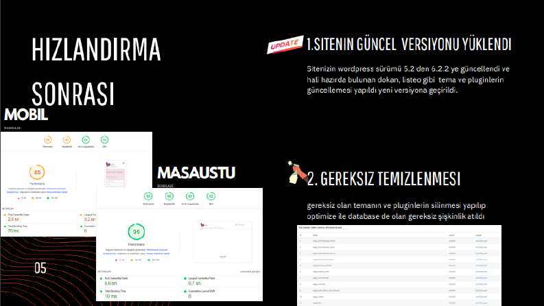 WordPress Optimize, Seo Altyapı, Hızlandırma
