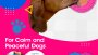 Dogs