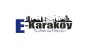 E-Karaköy Logo