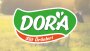 Dora Süt Ürünleri Logo Çalışması