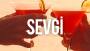 gozdeurfali yorumuna eklenen çalışma