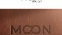 Moon Wallet - Logo Tasarımı