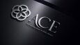ACE - GOLD & SILVER JEWELRY LOGO TASARIMI
