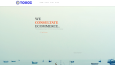 Website Kurulumu