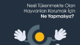 G-Solar Sosyal Medya Yönetimi 
