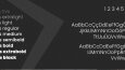 Archop Logo Tasarımı