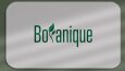 Logo Tasarımları