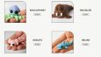 Katalog Tasarımları