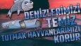 Sosyal Medya Tasarımları