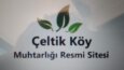SocialManage Logo Tasarımları