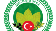 Mecidiyespor