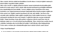 SEO Uyumlu Metin