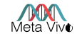Meta Vivo