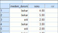 SPSS t Testi
