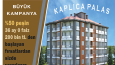 Sosyal Medya Tasarımı