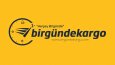 Bir Günde Kargo — Logo & Kurumsal Kimlik Tasarımı