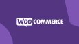 Woocommerce Extra Ürün Seçenekleri