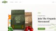 Wordpress E-Ticaret Sitesi Kurulumu