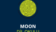 Çeşitli Logo Tasarımlarım