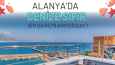 Real Estate Firmaları İçin Çalışmalarım