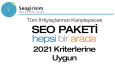 %100 Organik ve Kalıcı SEO Uygulaması