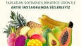 Kurumsal Sosyal Medya Sayfa Tasarımı