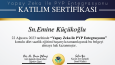 Sertifika Tasarımı