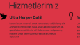 Tur Web Sitesi