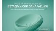Web Sitesi İçerikleri