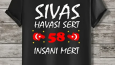 Tişört