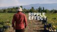 Video Examples