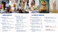 Menü, Broşür, Katalog Tasarımları