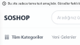 E-ticaret Sitesi Tasarımı (B2B Opsiyonel)