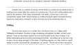 Freelance translation, Article Analyzing, Analyzing a Novel 