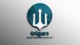 Trigon Kurumsal Logo Tasarımları