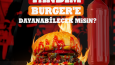 HAMBURGER POST TASARIMLARI