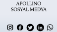 APOLLINO - SOSYAL MEDYA DANIŞANI