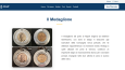 Web Sitesi Geliştirmeleri ve Medya Entegrasyonu –Culp Napoli