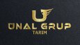 3D Logo Tasarımı