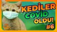 Youtube - Thumbnail Tasarımlarım