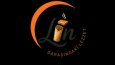 Lin - Konsept Logo Tasarımı