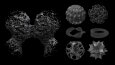 Algoritmik 3D Modelleme