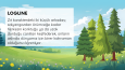Sunum Örneği