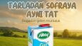 Sosyal medya tasarımları