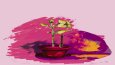 loop animasyon