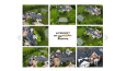 Intercept Roofing